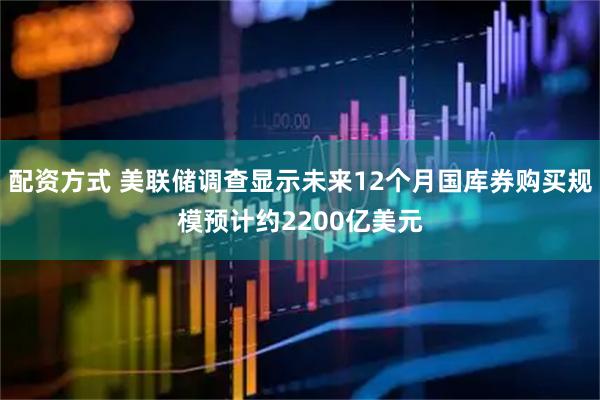 配资方式 美联储调查显示未来12个月国库券购买规模预计约2200亿美元